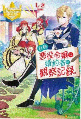 多功能投屏播放器